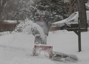 Blizzard kills thousands of Texas dairy cows
