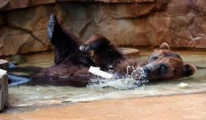 Oil takes it on the chin with heavy losses