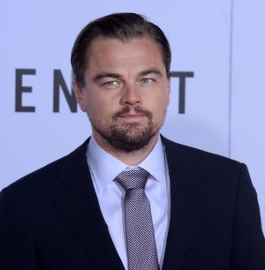 Leonardo DiCaprio, model Kelly Rohrbach split