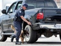 ** HOLD FOR CAMERON BLOCH/RELEASE DATE TBD** A U.S. Customs and Border Patrol agent runs his K-9 around a pickup truck in a search of weapons headed into Mexico Monday, May 4, 2009 at the Mariposa border crossing in Nogales, Ariz. President Barack Obama this spring promised his Mexican counterpart, Felipe Calderon, that the U.S. would fight two of the biggest contributions American residents make to the drug cartels Calderon has vowed to eradicate: cash and weapons. (AP Photo/Matt York)