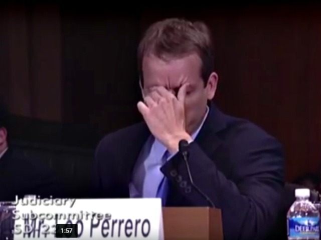 Disney worker breaks down during hearing