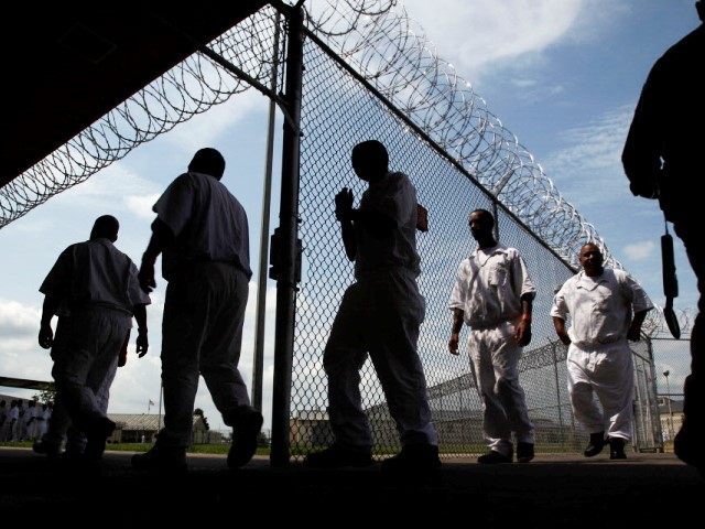 Essays on illegal immigration in texas