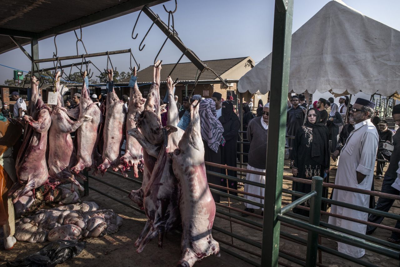 Muslims Sue Animal Welfare Minister Over Halal Slaughter Ban