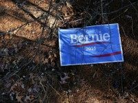 A campaign sign for Democratic presidential candidate Sen. Bernie Sanders (I-VT) lies underneath a tree, blown far from the roadside February 2, 2016 in Derry, New Hampshire. After Monday's Iowa caucuses, all the presidential candidates are now turning their sites on New Hampshire and the 'First in the Nation' primary. (Photo by