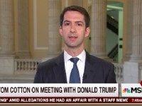 Cotton: ‘I Share Some of Those Questions’ Trump Has on NATO