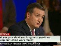 Cruz on ‘Trump Is Terrific Tweet’: ‘I’m Not Interested’ In ‘Personal Attacks’ Like Trump Is