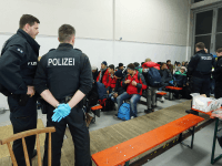 Migrant Centre Sex Abuse