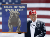 Donald Trump: I Think Britain May Leave The European Union