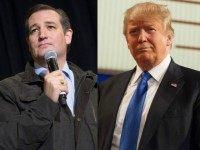 <> on March 24, 2016 in Dane, Wisconsin.