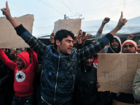 Open Borders Activists