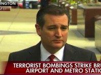 cruz3