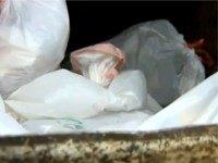 Washington Woman Saves Newborn Baby Found in Dumpster Mistaken for Doll