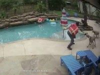 VIDEO: Contractor Hit Two Dogs with Wrench