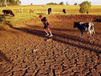 La Nina Brazil (Vagner Guarezi, Agencia Freelancer / Associated Press)