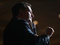 Stephen Miller: ‘Only Way Ted Cruz Can Win Is By Nullifying Ballots That Have Already Been Cast’