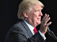 Politico: Donald Trump Campaign ‘Meltdown’ after Wisconsin Loss, Growing ‘Disarray’