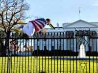 White House fence jumper Vanessa Pena via AP
