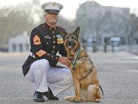 Gunnery sergeant Christopher Willingham, of Tuscaloosa, Alabama, USA, poses with US Marine dog Lucca, after receiving the PDSA Dickin Medal, awarded for animal bravery, equivalent of the Victoria Cross, at Wellington Barracks in London, Tuesday, April 5, 2016. The 12-year-old German Shepherd lost her leg on 23 March 2012, in Helmand Province, Afghanistan, when Lucca discovered a 30lb improvised explosive device (IED) and as she searched for additional IEDs, a second device detonated, instantly loosing her front left leg. Lucca completed over 400 separate missions in Iraq and Afghanistan during six years of active service protected the lives of thousands of troops, with her heroic actions recognised by the UK's leading veterinary charity, PDSA, with the highest award any animal in the world can achieve while serving in military conflict. (AP Photo/Frank Augstein)