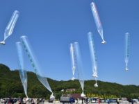 South Korean activists release balloons carrying anti-North Korea leaflets at a park near the inter-Korea border in Paju, north of Seoul, on October 10, 2014