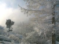 US student Colin Madsen's body was found close to Lake Baikal in Siberia