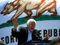 Bernie Sanders (Mark Ralston / AFP / Getty)