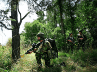 EU Army battlegroup