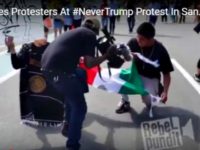 Telemundo Staging Shot at Protest Rebel Pundit