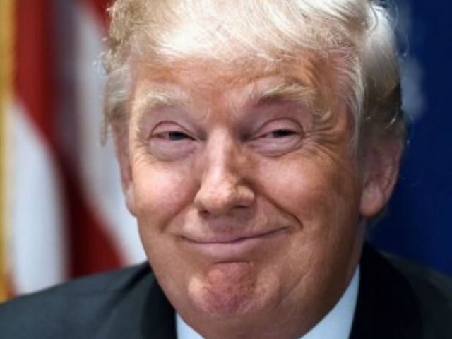 Is Donald Trump a Mole Working for the Dems?
