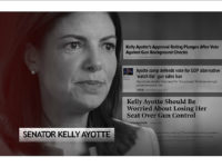 Gabby Giffords’s Group Pays ‘7-Figure’ Sum for Ad Against Pro-Gun Senator