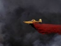 wildfire