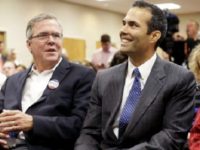 George P and Jeb Bush
