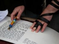 A member of the liberal religious group 'Women of the Wall' wears phylacteries while reading part of the Torah scrolls as she prays with fellow female worshipers at the Western Wall in Jerusalems Old City on February 10, 2016 marking Rosh Hodesh Adar (the first day of the Jewish month).