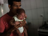The mosquito-borne Zika virus has been linked to microcephaly -- a shrinking of the brain and skull -- in babies