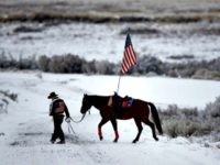 Oregon Cowboy Fed. Land Policy AP