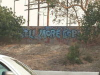 Kill More Cops (Reader submitted)