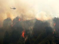 fire 2016-07-30T031030Z_1_LYNXNPEC6T01C_RTROPTP_2_CALIFORNIA-FIRE