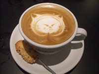 Cat coffee (akaitori / Flickr / CC)