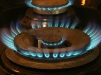 Homebiogas