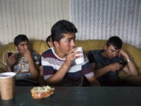 refugees