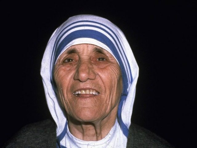 Mother teresa research papers   writing custom research 