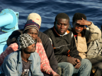 migrants