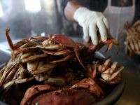 Dungeness crab (Justin Sullivan / Getty)