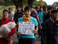 migrants