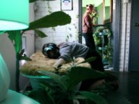 ecosexuality