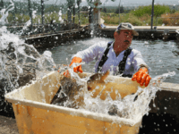 An Arab worker catches a spray of water in his face as he moves a struggling female sturgeon from a fish pond into a container before the fish is taken to a nearby caviar processing plant on April 22, 2009 in Kibbutz Dan, Israel. Far from the Caspian Sea, where over fishing and pollution have slashed yields of this prized delicacy, fish farmers at this kibbutz are reaping the rewards of years of hard work and are cashing in on the global caviar crisis.