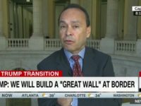 Luis Gutierrez: I’ll Help Build ‘Offensive’ Border Wall for DACA Fix