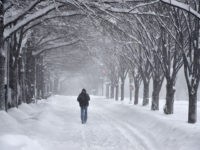 Snowstorm-DC-Jan-2016-Getty