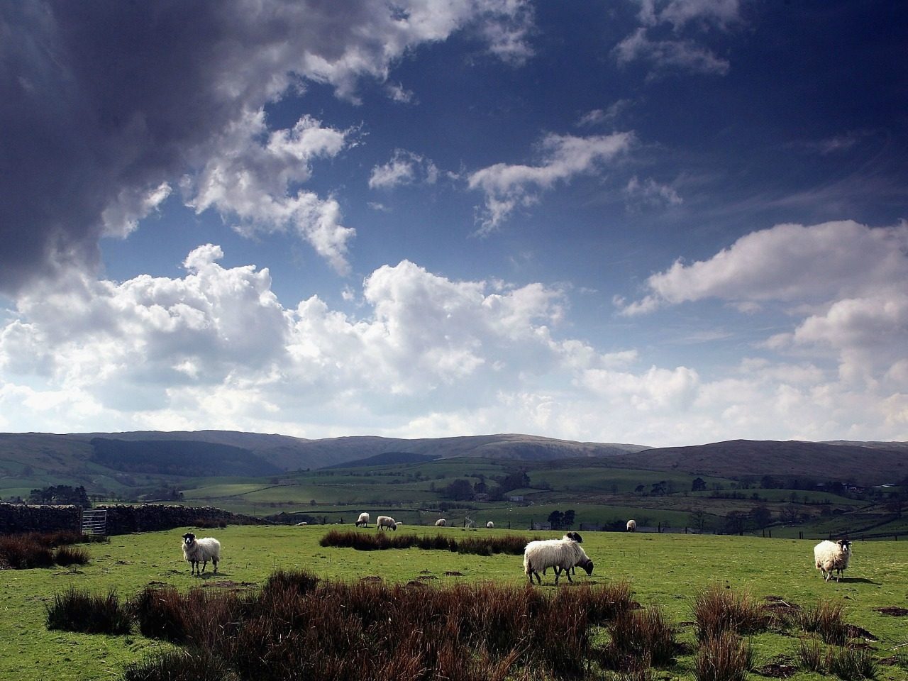 EU Warns No Extension for British Farm Subsidies