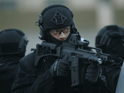 Europol: Homegrown Jihadis Behind Most 2017 Attacks