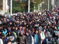 Almost Half Of ‘Underage’ Migrants In Hamburg Are Adults